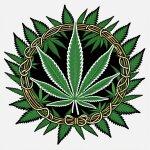  Cannabis Social Clubausweise f&uuml;r deinen...