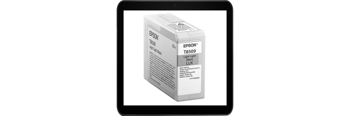 C13T850900 Epson Druckerpatronen Light-Light-Black mit 80ml Inhalt - C13T850900 Epson Druckerpatronen Light-Light-Black mit 80ml Inhalt