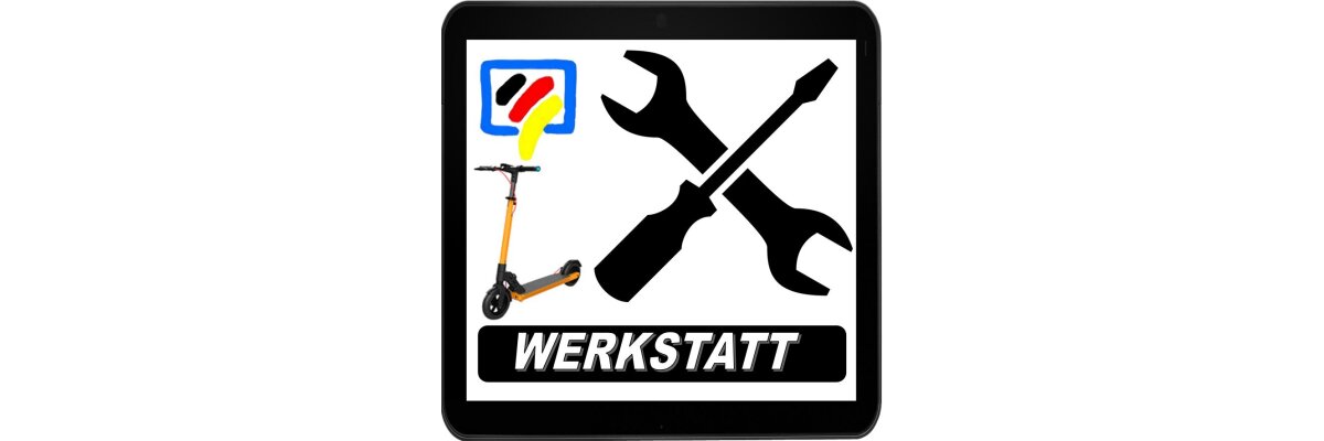 Metz-Scooter Reparatur und Wartung in Berlin - Metz-Scooter Reparatur und Wartung in Berlin