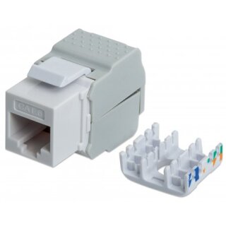 Cat6 Modularbuchse