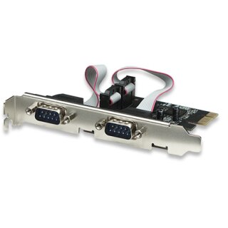 Serielle PCI Express Karte