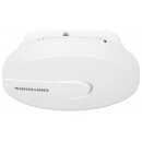 High Power Wireless 300N PoE Access Point zur Deckenmontage