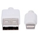 iLynk Lightning auf USB Kabel für iPad/iPhone/iPod