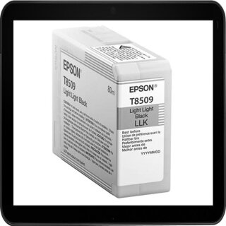 C13T850900 Epson Druckerpatronen Light-Light-Black mit 80ml Inhalt