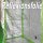 TiDis Growbox / Starterbox No103 - 60 x 60 x 120 cm - Indoor Grow Zelt | Aufzuchtzelt für Pflanzen und Kräuter | Grow Tent