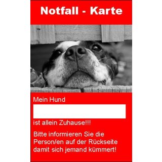 Schild 8,5 x 5,4 cm  - Notfallkarte für den Hund