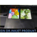 MG5470 - SPP310 - Inkjet Card Tray / Tintenstrahldrucker Kartenschublade  - Drucktray inkl. 10 Inkjet PVC Karten einsetzbar im Canon MG5470