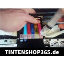 IRP862 - T33- Dr.Inkjet Druckkopfreinigungspatronen Clean-Multipack mit 1000ml Dr. Inkjet Druckkopfreiniger - ersetzen T33